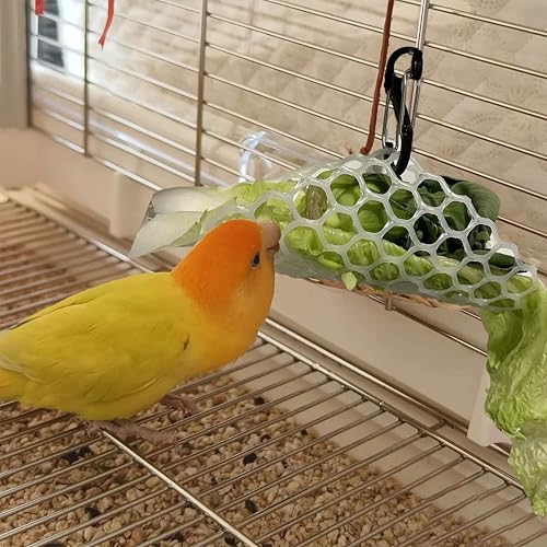 2Pcs Easy-Clean Clip Bird Cage Vegetable Feeder for Parakeet Parrot Lovebird Budgie