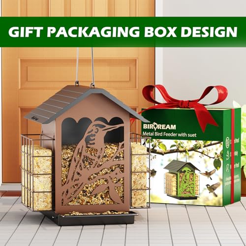 Birdream Bird Feeders for Outdoors, 5 Lbs Metal Bird Feeder with Double Suet Cages, 2 in 1 Mixed Seeds Suet Feeder, Large Capacity & Weatherproof Metal Roof, Attract Cardinals Wildbird Woodpecker