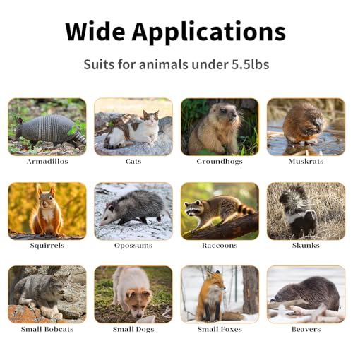 Timaze 26" Foldable Double-Door Live Animal Traps Cage | Live Animal Trap with Pedal Triggers,suitable for Kittens,Squirrels,Rabbits weighing up to 5.5 pounds