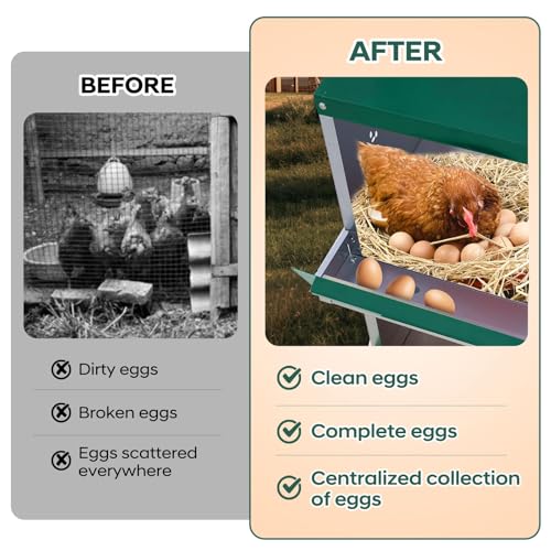 Garvee Chicken Nesting Box, 6 Compartments Nesting Box for Chickens, Galvanized Steel Chicken Laying Box for Easy Egg Collection, Wall Mounting - color: Green | 6 Compartments+legs