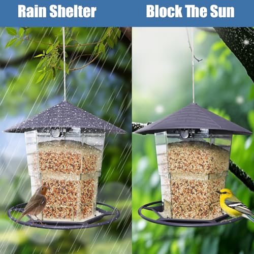 Bird Feeders for Outside, Adjustable Feeder with Sturdy Wire and Roof, Plastic Birds Feeder for Garden, Backyard, Terrace - color: 1 Pack