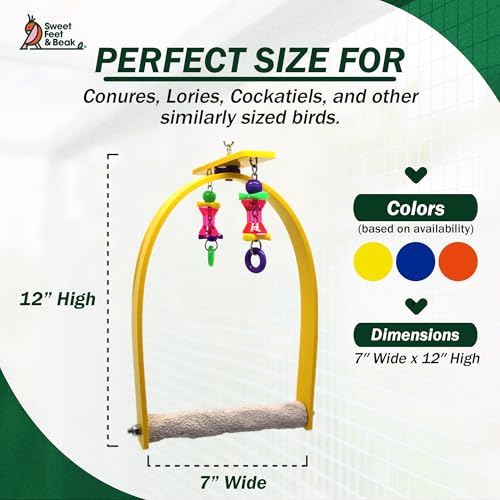 Sweet Feet and Beak Whirly Bird Swing, Small Indoor Pedicure Perch - size: Small