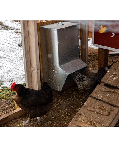 Galvanized Chicken Feeder - 25Lbs Outdoor Waterproof Metal Feeder with Lid, Coop Food Dispenser No Waste for Chicken, Haning or Stand