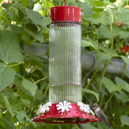 Nature's Way Hanging Glass Hummingbird Feeder for Outdoor Décor, 28 Ounce Capacity Nectar Feeder, Ant Moat, 7 Easy to Clean Flexible Ports, Red - style: 28 Ounce Capacity