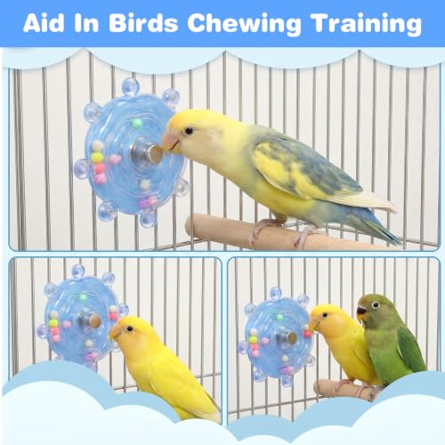 Budgie Toys Parakeet Training Toy Interactive Bird Educational Toy | Fit for Small Birds, Cockatiel Cage Accessories