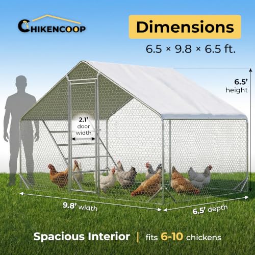 Walk-in Metal Chicken Coop 10x6.6 for 1-10 Chicken, Heavy Duty Poultry Cage | Elevated Roosting Perch, Predator-Proof Hex Mesh, Waterproof UV Cover, Reinforced Steel Frame, Walk-In Run - size: 118.0"L x 80.0"W x 80.7"H