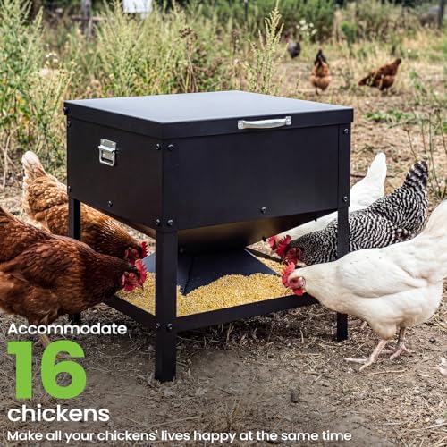 Metal Chicken Feeder, 56L Large Capacity Galvanized Steel Poultry Feeder with Raised Legs, 18 x 19.3 x 18 in Feed Storage Bin for Chickens, Ducks and Backyard Coop, Black
