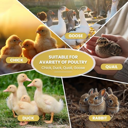 Chicken Brooder Box for Chicks, 6-in-1 Chick Starter Kit, 45" Large Chicken Brooder Pet Tent, Chick Coop for 10-15 Chicks with Feeder, Waterer & Cleaner, Indoor Chick Pen