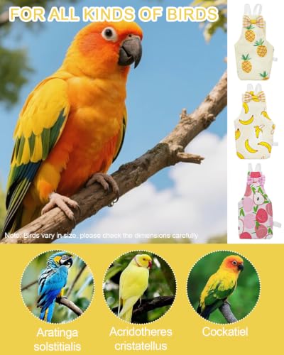 3Pack Bird Diaper, Reusable Parrot Nappy & 50 Absorbent Liners Bird Diapers | Cute Fruit Pattern Bird Diapers