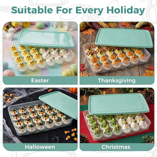 HAKSEN Deviled Egg Containers with Lid, (Set of 2), Deviled Egg Holder Tray Carrier for Refrigerator with 48 Holes, Fridge Stackable Kitchen Portable Countertop Storage