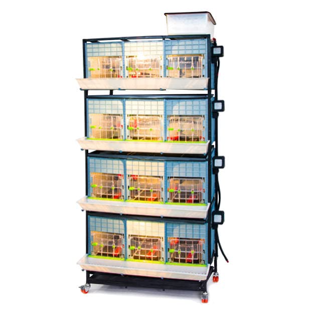 Hatching Time 15" Chick Brooders – Stackable & 2-Section Options, Automatic Heating, Easy-Clean Tray, Includes Feeders & Drinkers, Perfect for Quail, Chickens, Ducks & Baby Birds (4 Layer) - style: 3 Section, 4 Layer
