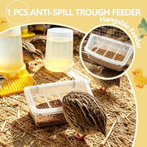 3 Pack 400ml Quail Water Feeder, Feeder Plastic Poultry Ideal for Button Quail, Baby Chicks, Ducks, and Baby Birds, Anti Drowning Design, Easy to Install