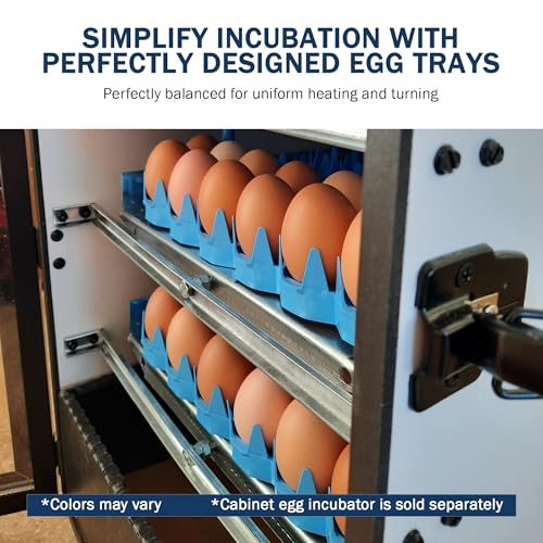 Universal Chicken Egg Trays (6 pack)