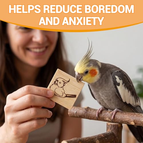 16 Pack Natural Balsa Wood Bird Chew Toys - World's Softest Wood, Safe Chewing Toys for Parakeets, Cockatiels, Lovebirds & Small Medium Birds. (Medium)
