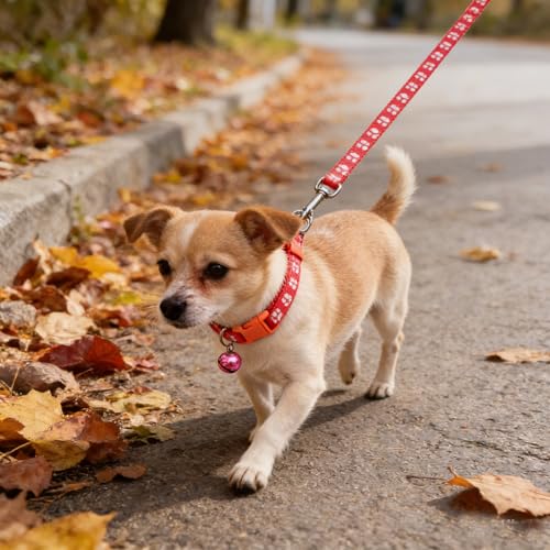 Puppy Collar and Lead Sets, Dog Collar with Bells for Small Dogs Pawprint Adjustable Cat Collar with Bell for Tiny Little XXS XS Extra Small Breed Pets Dogs Kittens Girls Female - color: watermelon