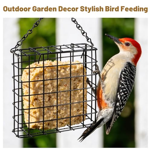 Suet Bird Feeders Outdoor, 6 Pack Hanging Wild Bird Feeder with Single Cake Capacity, Weatherproof Metal Suet Feeder for Garden Yard Decoration, Easy to Clean & Hang (Black)