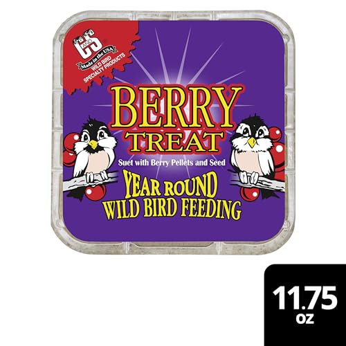 C&S Berry Suet Treat, Suet Cakes for Wild Birds, Pack of 8 | Suet cakes for woodpeckers, made with real berries, use in a suet feeder year-round - style: Berry, 8 Pack