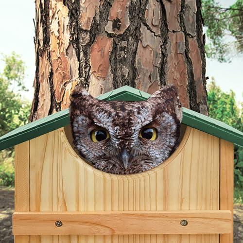 Owl House, 13.5x9.5 Inch Owl Nesting Box for Outside with Mounting Screws and Wood Shavings, Cedar Screech Owl House, Bird Boxes for Wildlife Lovers - style: Standard