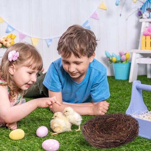 16 PCS 7.87 Inch Artificial Bird Nest for Crafts, Handicraft Rattan Bird's nest, Small Bird Nest, Bird's Nest Decorating Kit for Holiday, Table, Garden, DIY Terrarium Decor