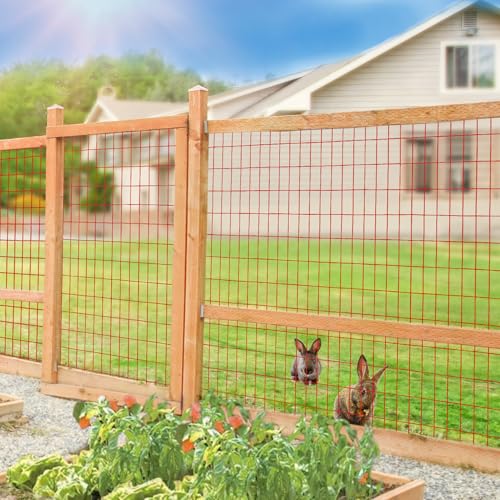 Red PVC Coated Welded Wire Fence 36" x 50' Roll, 2"x4" Mesh, 14 Gauge | Vinyl Coated Garden Fencing, Yard & Pet Barrier, Chicken Wire Fencing, Dog Enclosure Mesh, Vegetable Plant Protector - color: Red, size: 2''x4'' 14GA 36''x50'