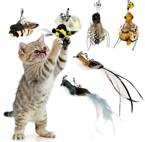 6 Pieces Cat Feather Toys Replacement Bird Insect Cat Toy Wand Refills Cats Toy Replacement Natural Bird Feathers for Cats Toys - color: 6 Pcs Bird Insect
