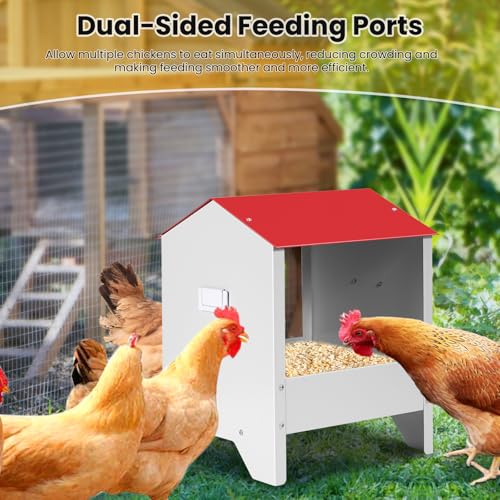 10Lbs Metal Chicken Feeder with Weatherproof Lid | Chicken Oyster Shell and Grit Feeder Poultry Feeding Trough for Hens, Ducks, Geese, Coop Accessories Supplies