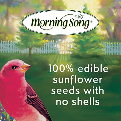 Morning Song Sunflower Hearts & Chips Wild Bird Food, No Mess Sunflower Seeds for Birds, 5.5-Pound Bag | No Mess Sunflower Seeds for Birds - size: 5.5 Pound (Pack of 1), style: 5.5 Pounds (Hearts & Chips)