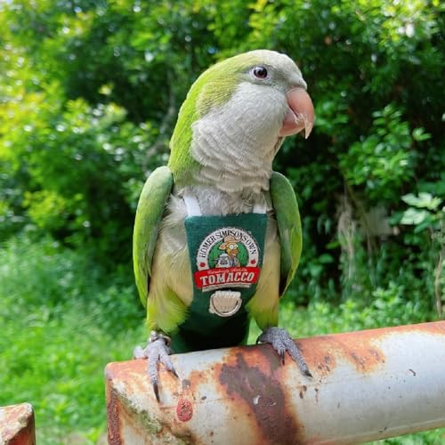PARREN Bird Clothes Parrot diapers bird flight suits, reusable waterproof diapers pet bird supplies (M), Green
