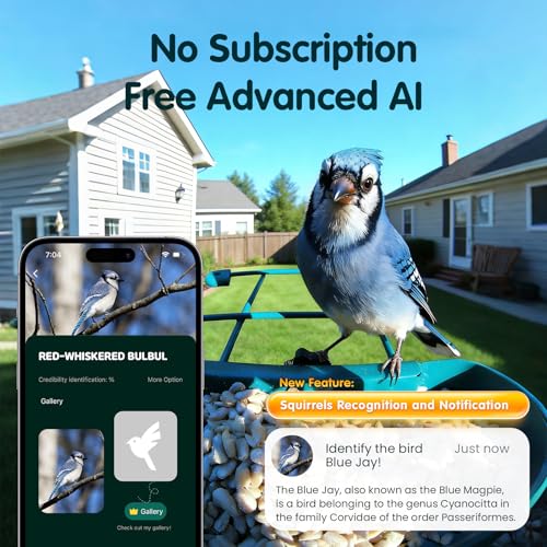 Bird Feeder with Camera, 4K Ultra HD Video with 30fps Live View, 10x Slow Motion, No Subscription, Solar Powered AI Smart Bird Feeder with Camera, 2.4G/5G Wi-Fi, Durable Metal,Bird Lover Gift