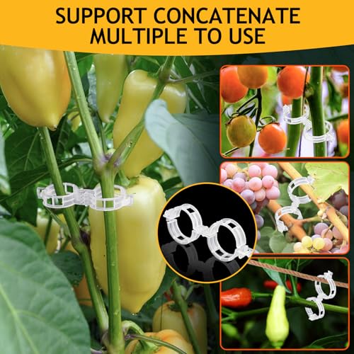 200Pcs Secured Plant Support Clips - Tomato Clips for String Trellis, Grape Vine Grid Clamp for Garden Netting Climbing Plants, Fixing Stem and Vine (White) - color: 200pcs White