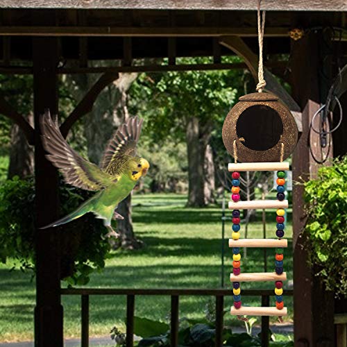 Hanging Coconut Birds House with Ladder, Natural Coconut Bird Nest | Coconut Hide Birds Swing Toys for Parrot Parakeet Lovebird Finch Canary for Hamster, Bird Cage Accessories, Pet Bird Supply