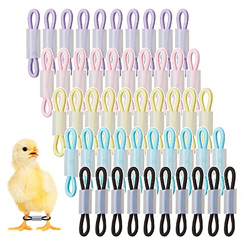 Patelai 50 Sets Baby Chick Leg Bands Splay Hobbles Brace Adjustable Poultry Leg Bands for Newborn Chick Bird Ducks of 1 to 3 Days Newly Hatched