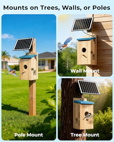 Bluebird House with Camera,Bird House with Camera Solar Powered | Motion Detect & Night Vision,App Control,Wi-Fi Bird Watching for Backyard Nesting,Camera Bird House,Smart Bird House,Blue - color: Light Blue