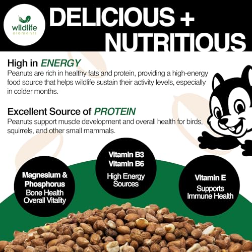 Wildlife Elements Peanut Party Unprocessed, Raw Shelled Peanuts Wildlife Animal Food, 25lb - Rich in Protein, Healthy Fats, and Essential Nutrients for Birds, Squirrels & Waterfowl - size: 25lb, style: Shelled
