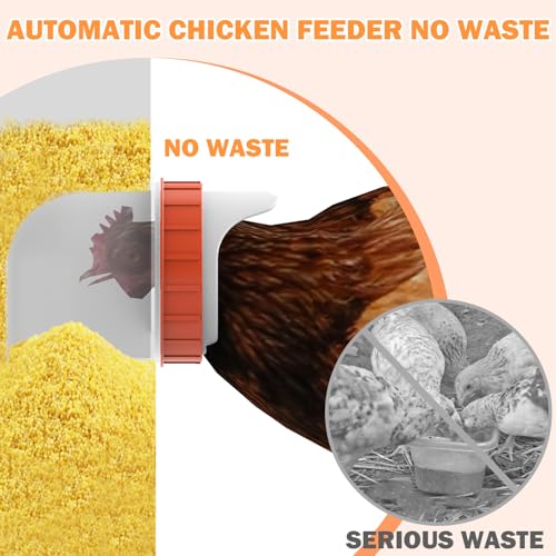 85LBS of Feed Chicken Feeder No Waste 10-Ports Automatic Large Poultry Feeder with Adjustable Legs Perspective Window Latch & Handle for Chickens Bantams Pheasants - size: 10 Ports - 85-120 LBS