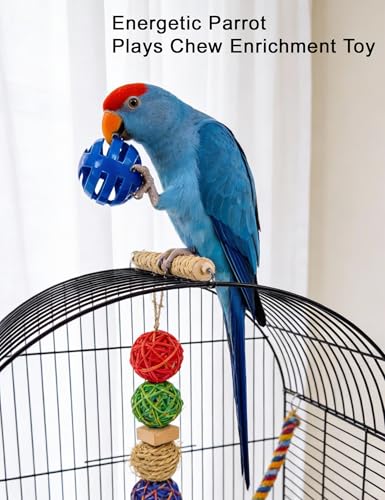 12 Pack Bird Ball Toys Rings Sound Rattles for Parakeets | Smooth Edge Cage Play Toys for Assorted Small Medium Parrots