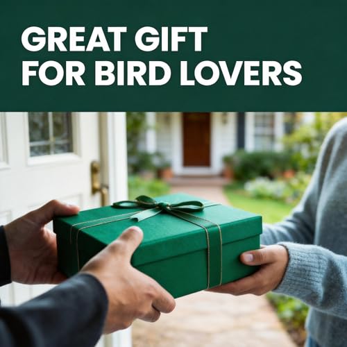 Metal Roof Bird Feeder for Outdoors,Retro Lantern Easy-Clean | Unique Retro Lantern Style, Heavy-Duty Metal Easy-Clean Tray, Garden Yard Patio Decor