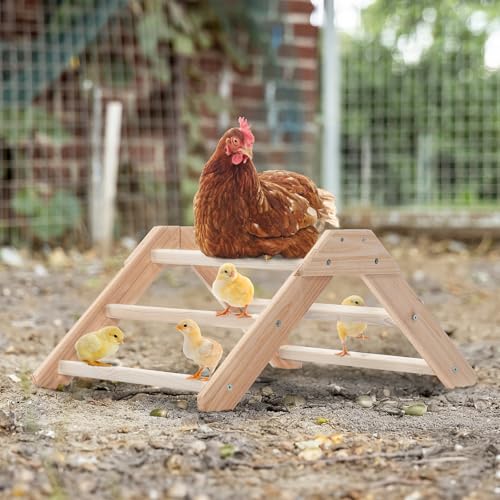 PETSFIT Baby Chick Roosting Bar, Anti-Rotation, Solid Wood, for Brooder | Fits Chicks and Small Birds, Thickened Wooden Perch, Safe for Brooder and Coop, Easy to Assemble and Clean, Non-Toxic Wood