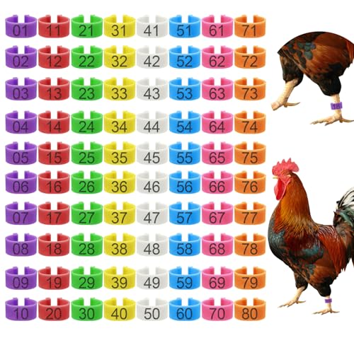 80 Pcs 16mm Chicken Leg Bands with 8 Colors, Colorful 01-80 Numbered Chicken Identification Leg Bands Duck Poultry Foot Tags for Ducks Bantam Guinea Pigeons Goose Gamefowl - size: 16mm - 8 Colors