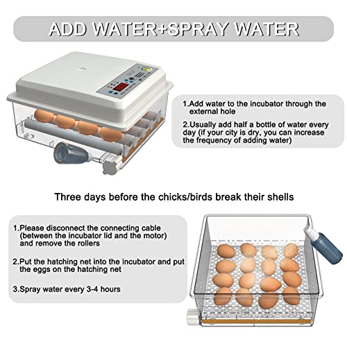 Incubators for Hatching Eggs Fahrenheit 12-16 Eggs Incubator with Automatic Egg Turning and Egg Candler Incubator for Chicken Quail Duck Pigeon Eggs Poultry Incubators