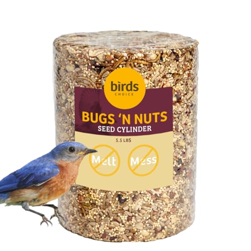 Birds Choice Bugs 'N Nuts Cylinder Seed | Wild Bird Food with Insects & Fruit | High-Energy Mix of Sunflower Hearts, Peanuts, Mealworms & Tree Nuts | High Protein & Bird Feed | 5.5 lbs | High-Energy Mix of Sunflower Hearts, Peanuts, Mealworms and Tree Nut