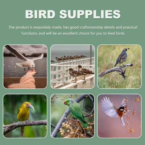 2Pcs Thickened Bird Food Bowl and Transparent Feeding Box for Parrots Plastic Bird Cage Accessories Easy to Install and Clean for Various Pet Birds