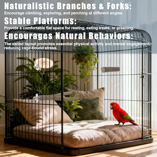 8 PCS Bird Perch Set | Natural Birch Wood, Straight & Forked Perches with Platforms, For Parakeets, Cockatiels, Conures, Lovebirds, Cage Accessories