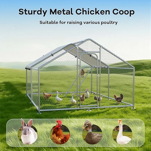 10 x 13.2 x 6.4 FT Metal Chicken Run, Chicken Coop with Cover | Reinforced frame, Walk-in Chicken Coop, Waterproof Cover, Side Hardware Cloth, Roosting Perch, Backyard & Farm Use - size: 157.4"L x 118.3"W x 78.1"H