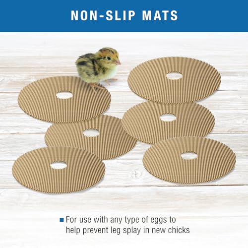 Brinsea Cardboard Hatching Mat for Maxi Egg Incubators, Pack of 6 | Authentic Brinsea Maxi 24 Incubators liner; textured, disposable floor covering helps chicks grip safely during hatching - size: Maxi, 24 Eggs