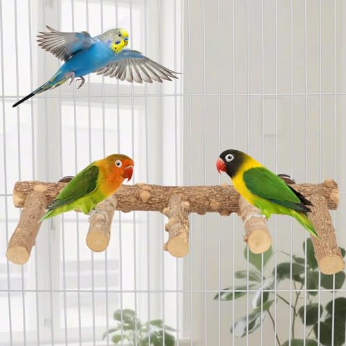 Hypeety Bird Ladder Perch for Cage Natural Wood Climbing and Chewing Toy | Anti-slip surface, climbing bridge, exercise ladder, fit most cages, for parakeets/cockatiels/lovebirds, play/stand/climb toy