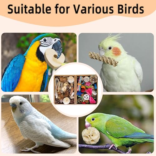 Bird Foraging Toys Parrot Chew Shredding Toys Bird Foraging Box for Parakeets Cockatiels Conures Lovebirds and Small to Medium Birds(Natural+Colorful) - color: Natural & Colorful