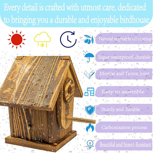 Bird House Kit for Kids & Adults, DIY Cedar Birdhouse with Paint | Mortise & Tenon, Carbonized Cedar, 3 Entrance Sizes, Stainless Steel Hooks, for Bluebird Wren Cardinal
