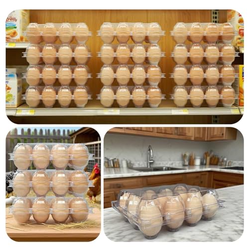 50-Pack of 12-Count Plastic Egg Cartons – Bulk Clear Reusable Egg Containers Holds Chicken Eggs | Egg Cartons Cheap Bulk, Eggs 12 Count,Suitable for farms, markets and families. - size: 50pack