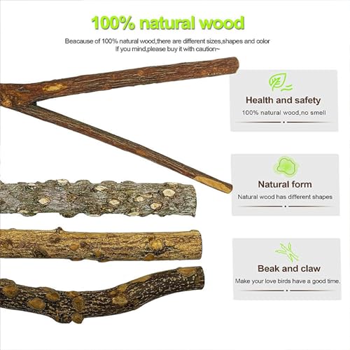 Natural Wood Bird Perch Set, 5 Branch Perches with Mounting Hardware, Parrot Cage Accessories for Claw and Beak Care (Natural, Medium)
